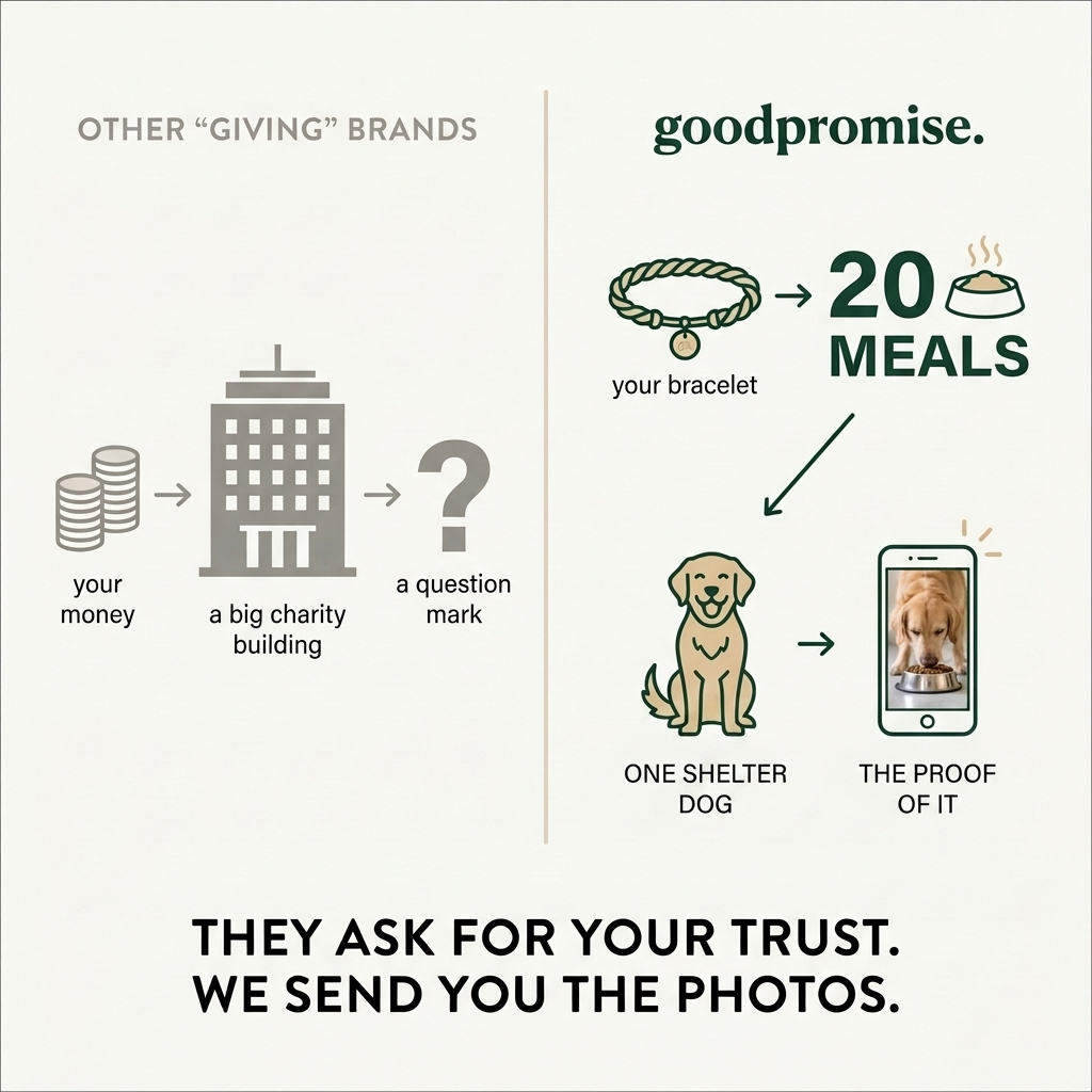 The 20 meals bracelet