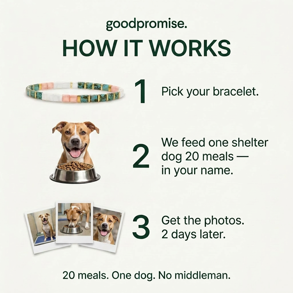 The 20 meals bracelet